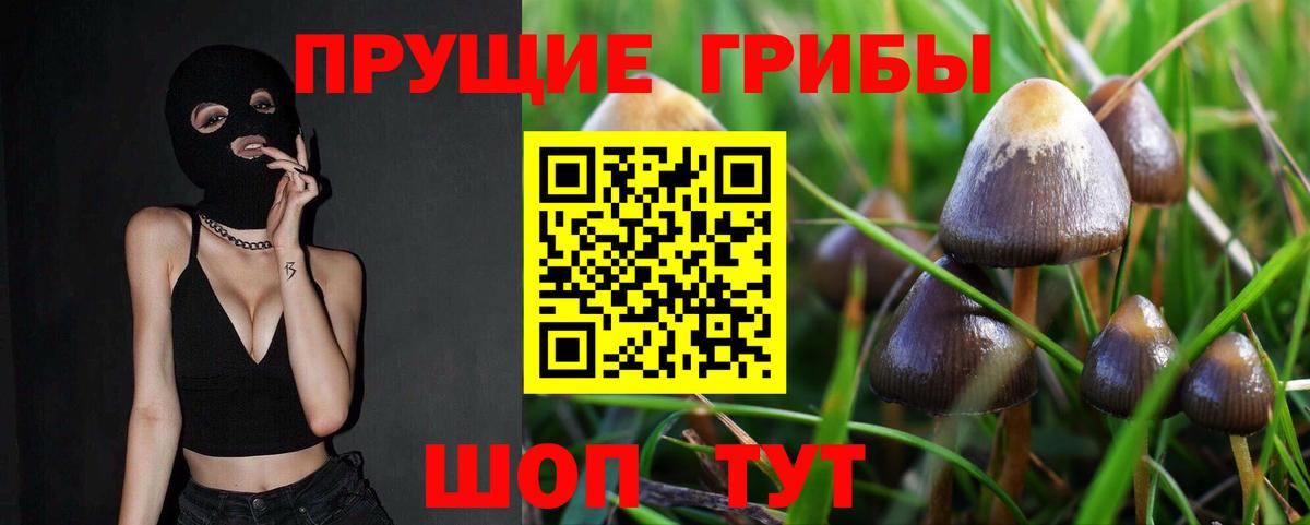 Псилоцибиновые грибы Psilocybine cubensis Югорск